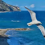 Vela D'oro