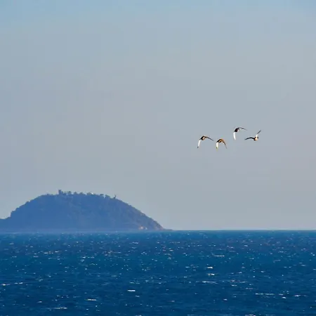Pensionat Vela D'oro Pietra Ligure