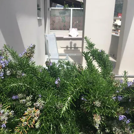 Vela D'oro Gasthuis Pietra Ligure