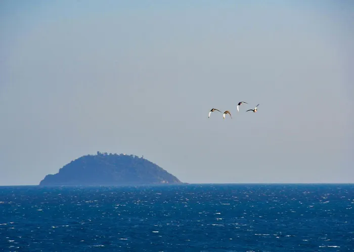Vendégház Vela D'oro Pietra Ligure