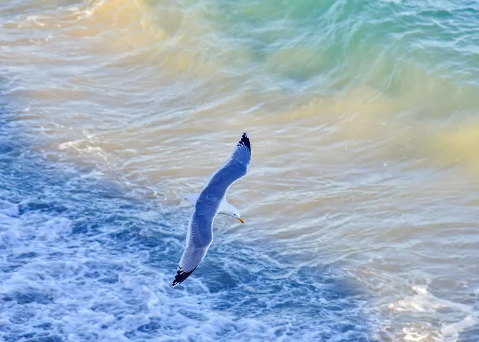 Vendégház Vela D'oro Pietra Ligure