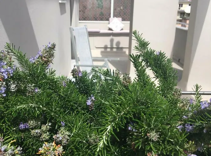 Vela D'oro Vendégház Pietra Ligure