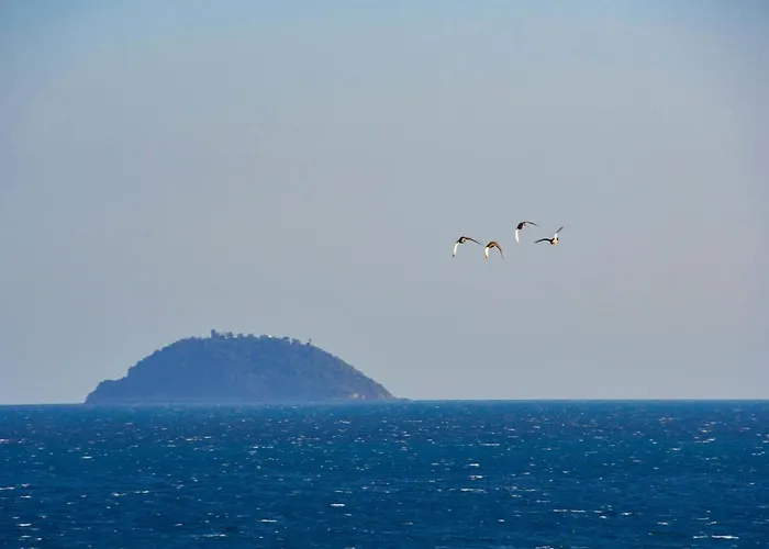 Vela D'oro 4* Pietra Ligure