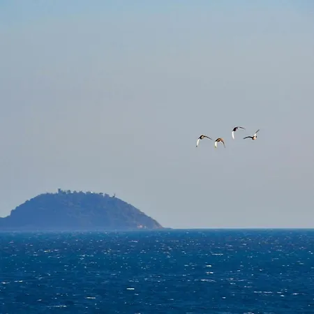Vela D'oro 4* Pietra Ligure